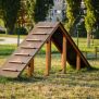 Miniaturka Agility A-frame Ramp (11)